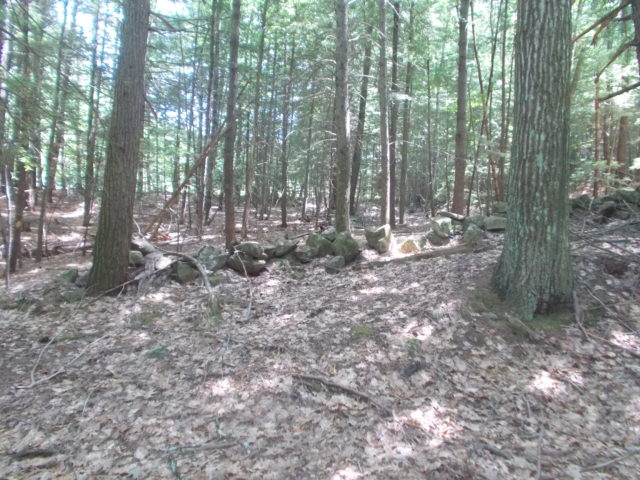One of New Hampshire's many stone walls.