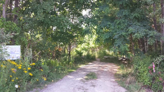 20160808_155138