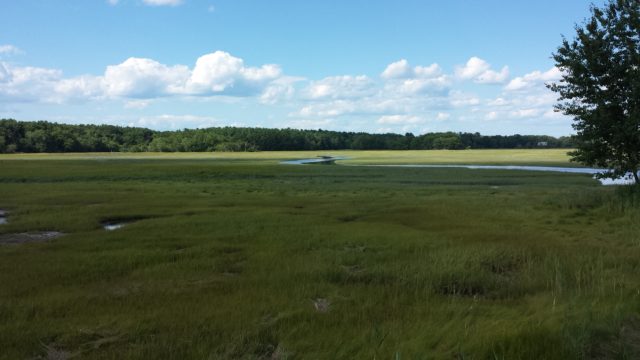 The Awcomin Salt Marsh in all it's splendor.