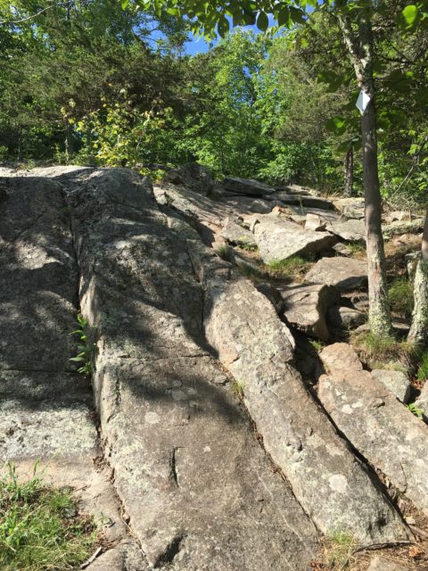 Glacial Strations on North Mountain