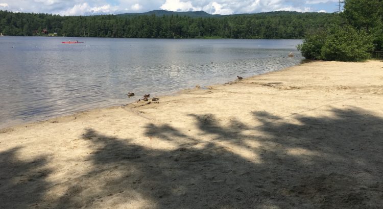 Water Quality Nh Lakes