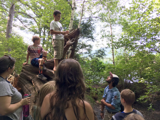 Two kids standing on a fallen tree, surrounded by a group of hikers. The kids are talking about their hypothesis of how a tree fell, as part of an activity during the "exploratory walk" program at White Lake State Park.