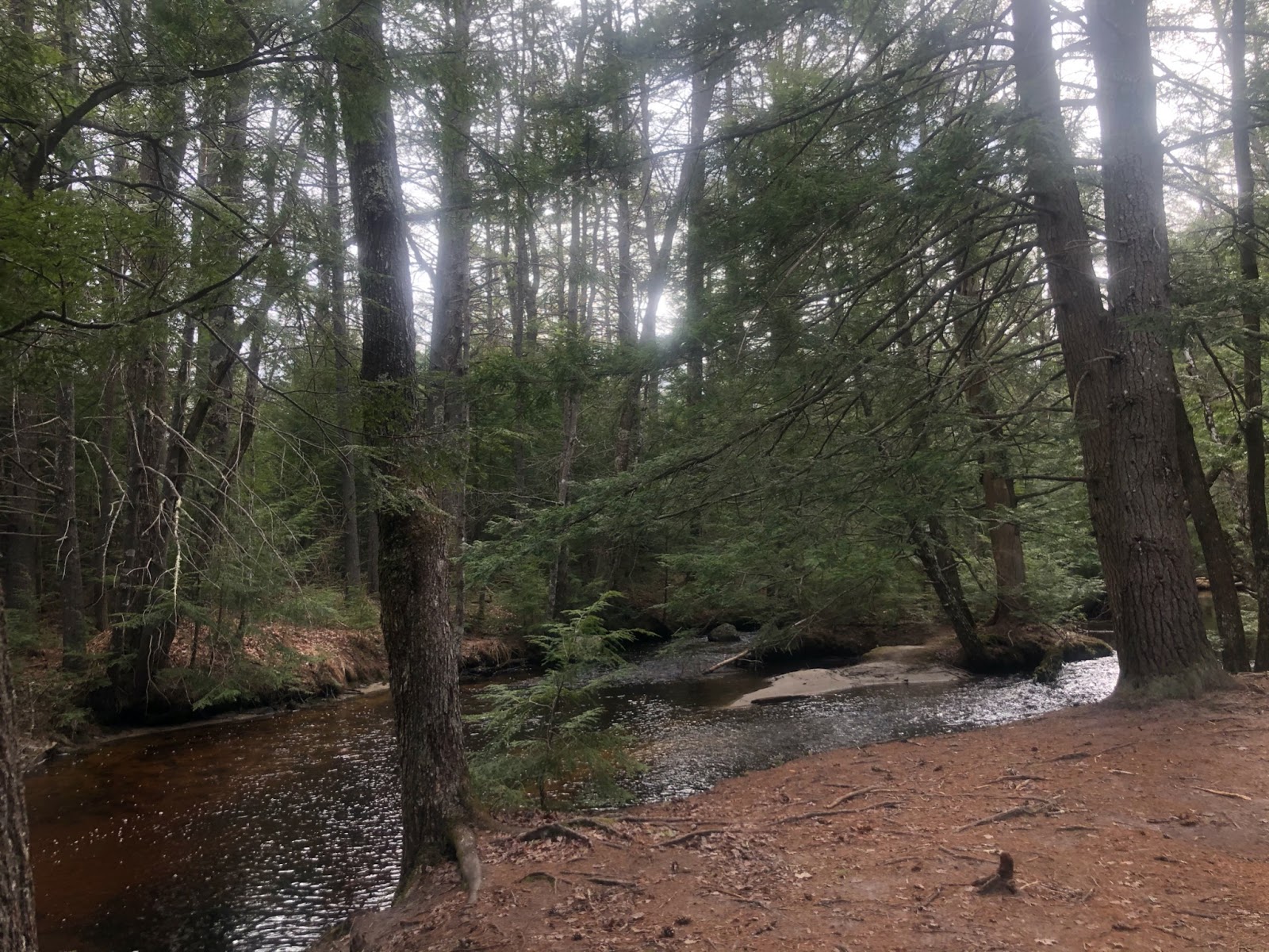 Bear Brook State Park NH