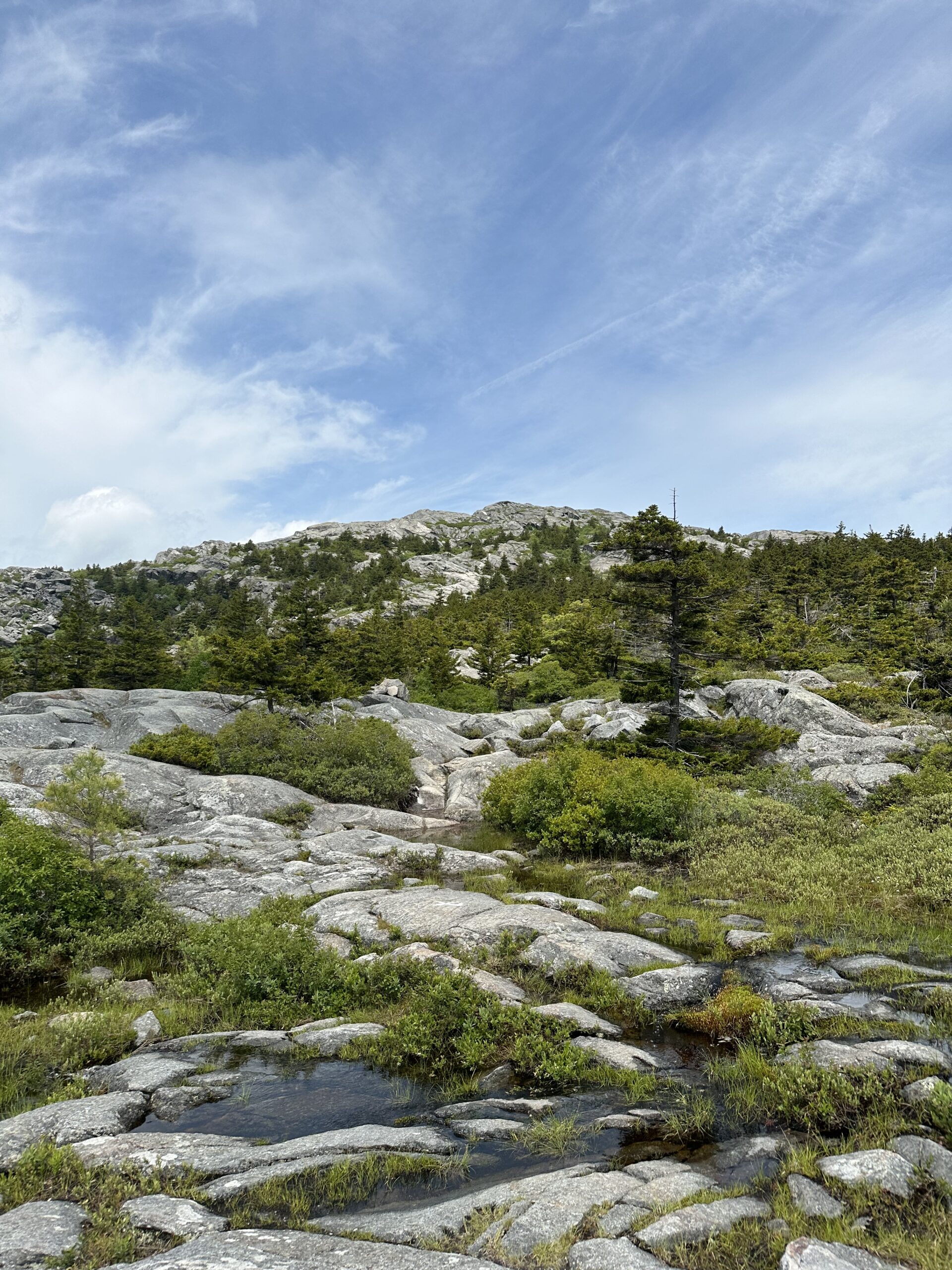 Conquer the Monadnock: Your Guide to New Hampshire's Iconic State Park