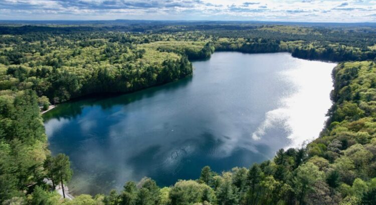 An aerial image of a large pond surrounded by trees.