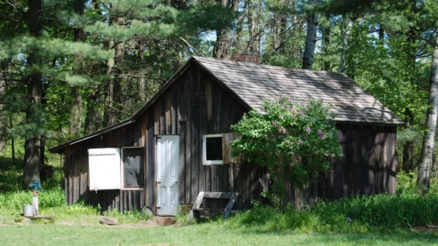 A small wooden house is nestled into trees.