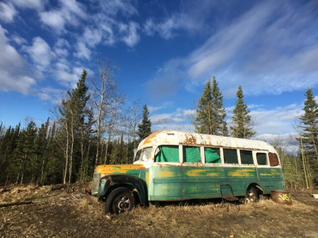 A dilapidated old green bus is parked in a clearing surrounded by evergreen trees.