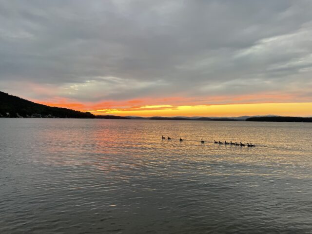 Geese float on Lake Winnipesaukee as the sun sets in a cloudy sky.