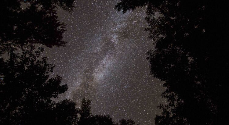 Summer starry sky at Pillsbury State Park